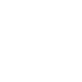 50th Anniversary Logo